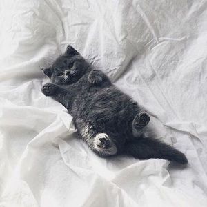 Meet your Posher, Mack